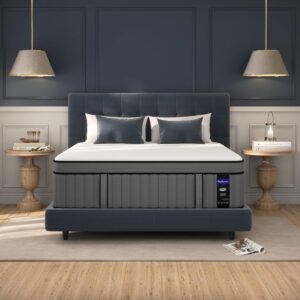 Limited Time Deal 24% OFF on Gel Memory Foam Hybrid Firm King Bed Mattress