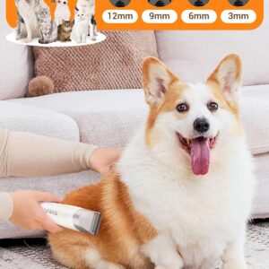 Limited Time Deal 73% OFF on Pet Grooming Vacuum Kit for Dogs