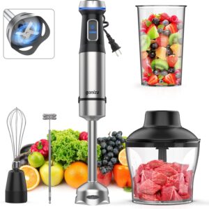 Big Spring Deal 50% Off Ganiza Immersion Blender