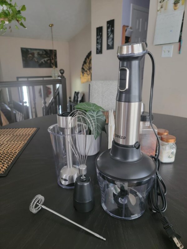 Big Spring Deal 50% Off Ganiza Immersion Blender - Image 2