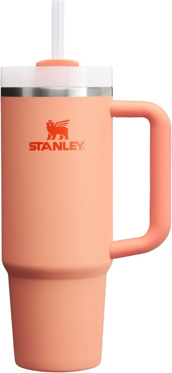 Limited Time Deal 25% Off on Tumbler with Handle and Straw