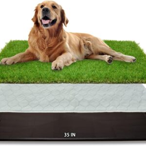 Limited Time Deal 16% Off on Dog Grass Large Potty Patch