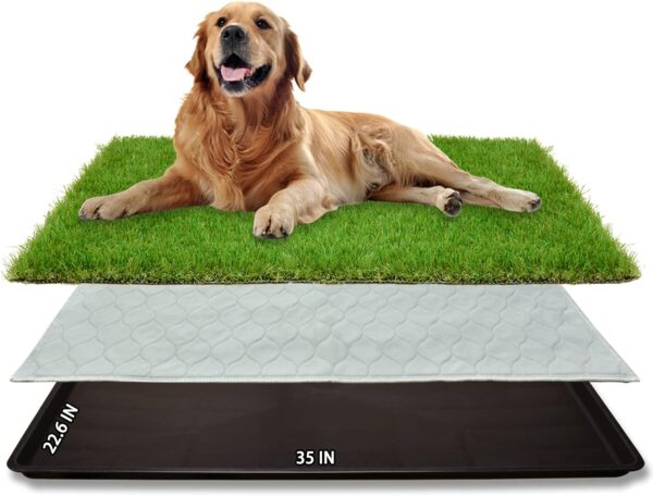 Limited Time Deal 16% Off on Dog Grass Large Potty Patch