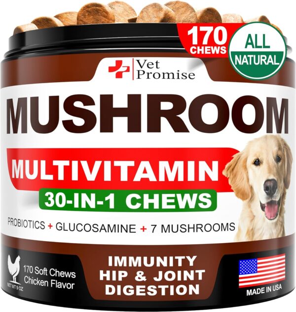 Limited Time Deal 15% Off on Mushroom for Dogs